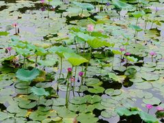 -烈士陵园(地铁站)