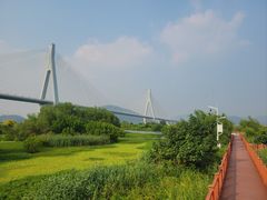 -芒洲湿地公园