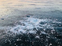 -丁香湖公园