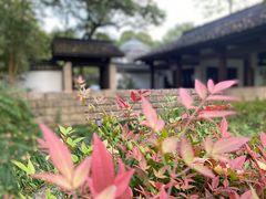 -杭州植物园