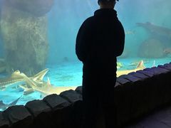 -多彩贵州城极地海洋世界