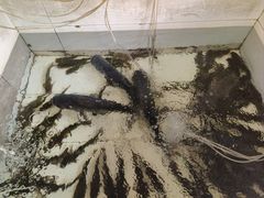 -金台阶鱼馆(于桥水库店)
