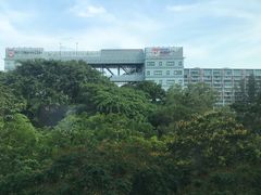 -新加坡柏薇罗切斯特酒店