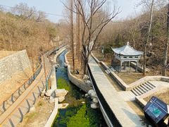 -白水寺森林公园