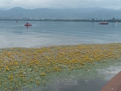 -西昌邛海湿地