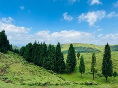 -乌蒙大草原