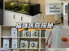 -瑞派新吉太郎宠物医院·重症转诊中心·泌尿道(嘉禾望岗院)