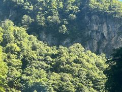 -神农架景区