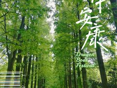 -上海滨江森林公园