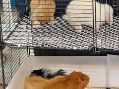 -春晖园度假酒店温泉