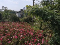 -贵阳市花溪国家城市湿地公园