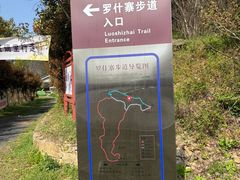 -千年银杏谷文化旅游区