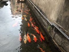 -前童古镇