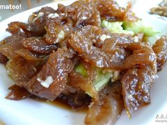 海醋老蜇-海岛渔村大酒店(云霄路店)