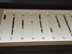 -银雀山汉墓竹简博物馆