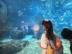 -海合安武汉极地海洋公园