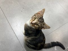 -重庆麻辣烫(国权路店)