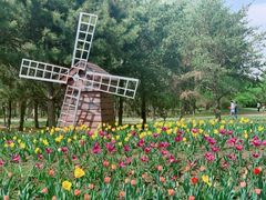 -长春公园(普阳街道)