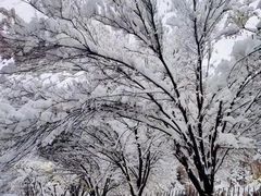 -河南财经政法大学(郑东校区)