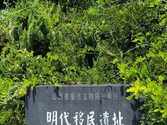 -大槐树寻根祭祖园