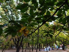 -国家植物园南园