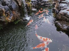 -贵阳高新惠诚食品有限公司
