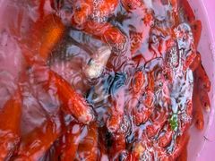 -吉姆冒险世界(蓟州店)