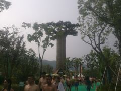 -苏州乐园森林水世界