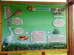 -北海金海湾红树林生态旅游区