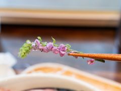 -真打拉面·日式拉面新流派(体育西横街店)