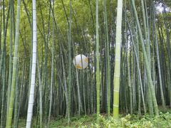 -杭州黄龙洞