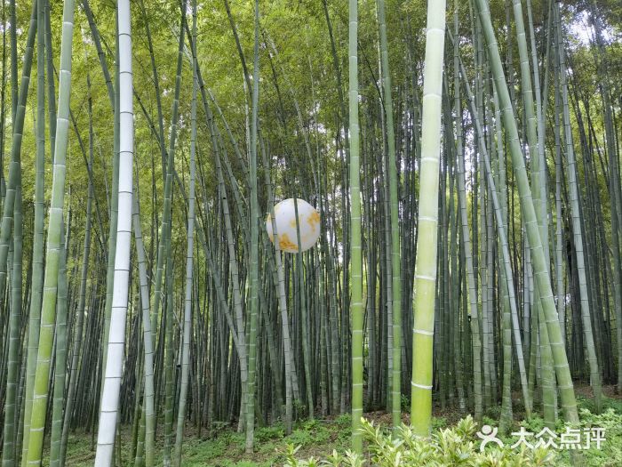 杭州黄龙洞图片