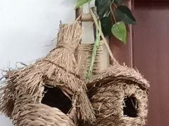 -鱼乐岛餐厅·户外花园主题餐厅