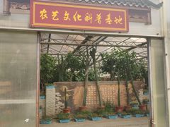 -上海都市菜园