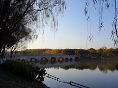 -昆山城市生态森林公园