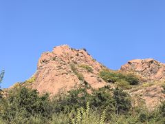 -红山国家森林公园