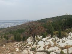 -原山国家森林公园