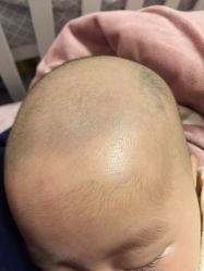 -龙文宝贝上门婴儿理发满月剃胎毛(总店)