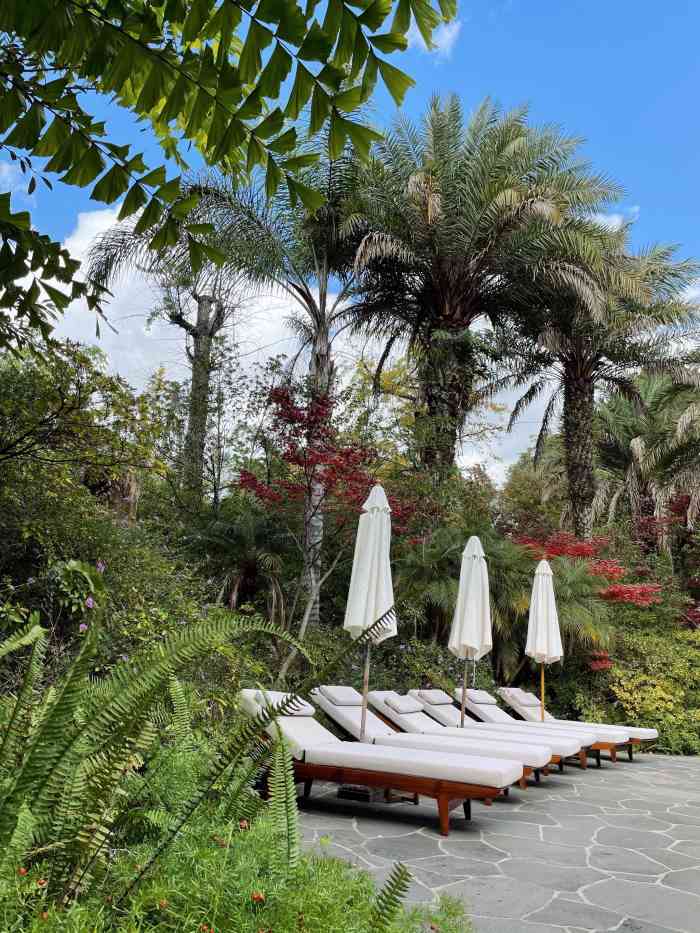 昆明柏联spa温泉酒店-"在阳宗海边,风光旖旎,环境清幽.非周末的.