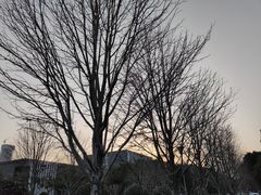 -苏州大学（独墅湖校区）-炳麟图书馆