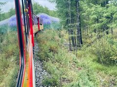 -莫尔道嘎国家森林公园