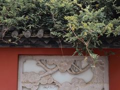-真庆观