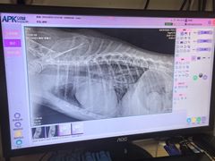 -瑞派宠物医院·24h·骨外科·皮肤科·全科宠物医疗转诊中心(沈阳浑南院)