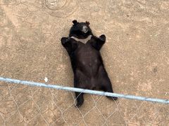 -无锡动物园·太湖欢乐园