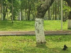 -松山湖南湖湾露营营地
