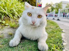 -上海交通大学医学院附属仁济医院(南院)