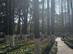 -瀛洲公园