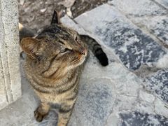 -终南山南五台景区