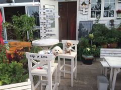 -一杯海(国际海水浴场店)