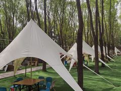 -草根堂农场